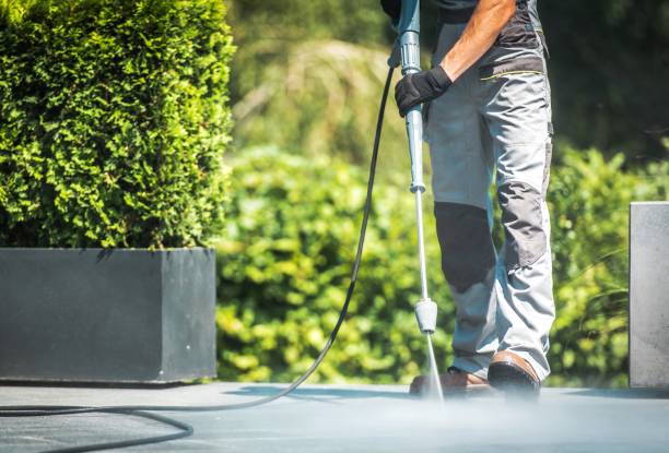Best Fleet Vehicle Washing  in Lake Lorraine, FL